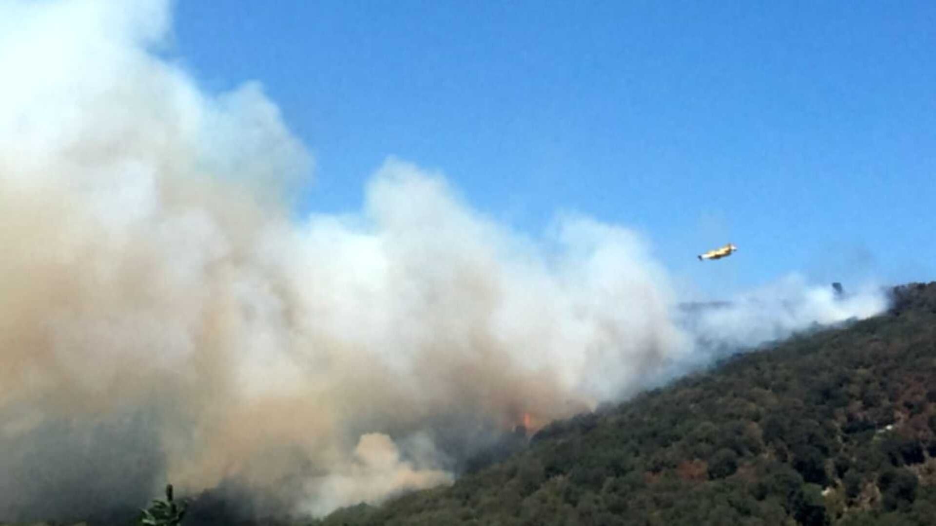 Incendio Oasi Degli Astroni Ecco Chi Ha Causato Il Rogo Napoli Zon