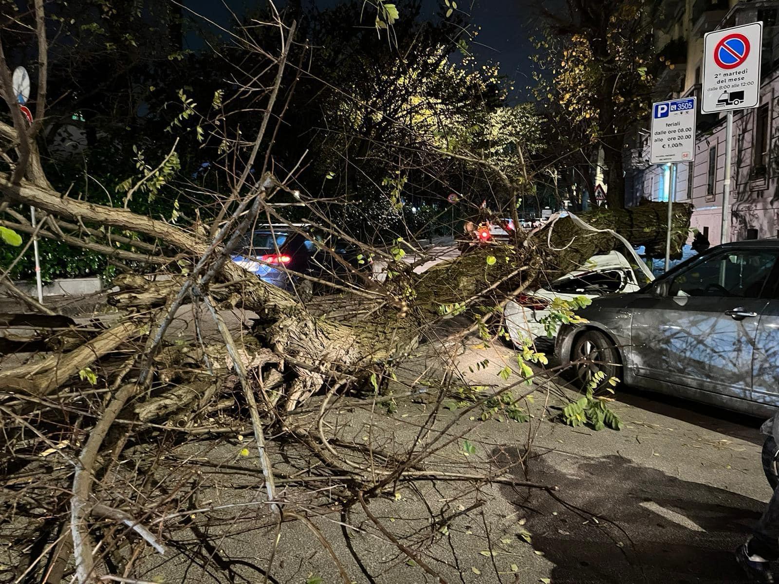 Vomero Tragedia Sfiorata Albero Si Abbatte Sulle Auto Napoli Zon