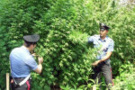 Sant'Antimo: sequestrati cinque kg di droga