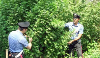 Sant'Antimo: sequestrati cinque kg di droga