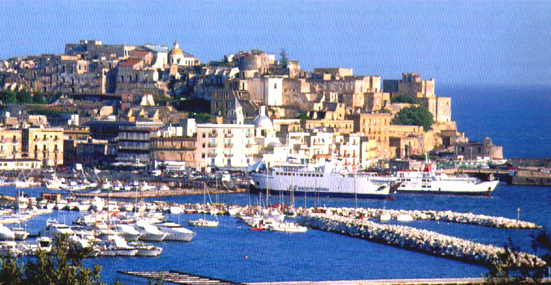 incontro napoli porto