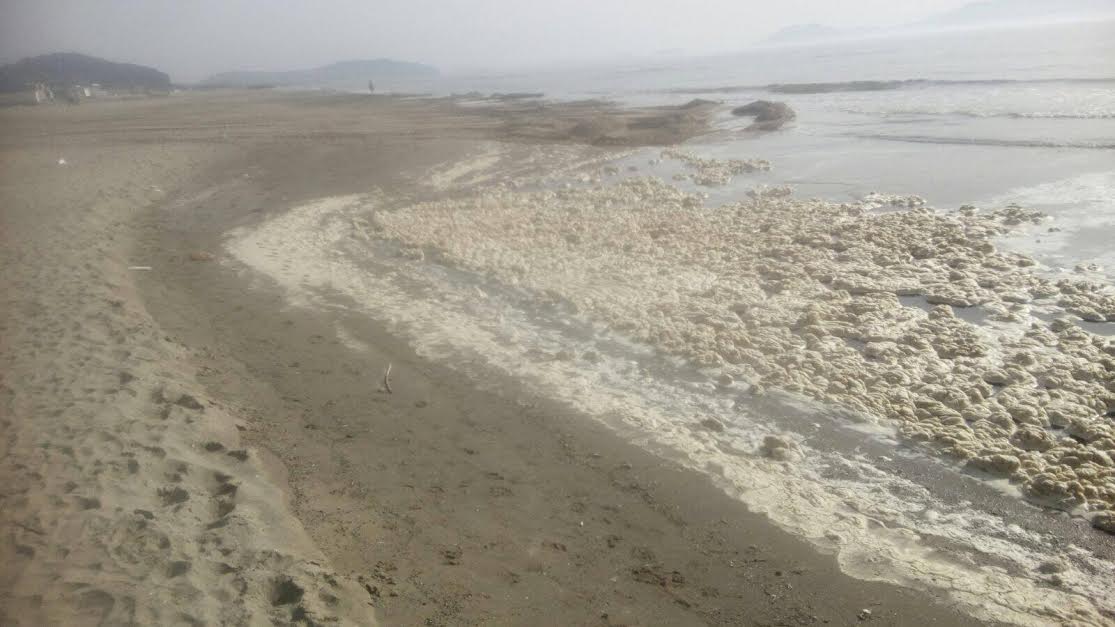 Licola, schiuma bianca sulle coste Napoli ZON