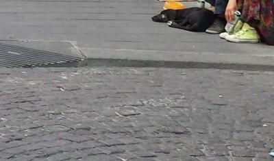 toledo