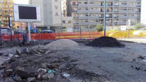 Verdi: fermate la mattanza degli alberi Verdi - mattanza degli alberi
