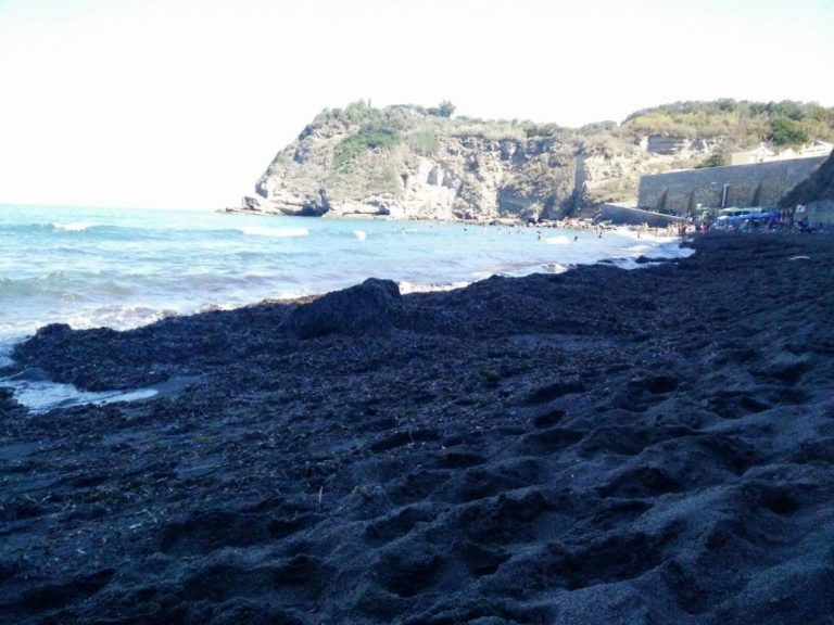Procida spiaggia "del Postino" invasa dalle alghe