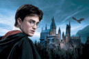 "Harry Potter Night"