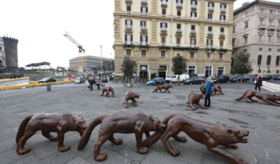 lupi, Ruowang, Napoli, Municipio,