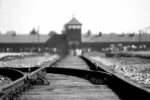 Giorno della Memoria: Liliana Segre e la testimonianza sull'orrore di Auschwitz