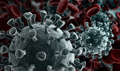 EMA coronavirus