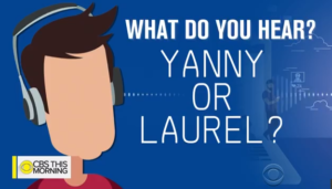 yanny o laurel