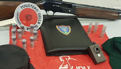 caccia, parco, vesuvio, somma vesuviana,