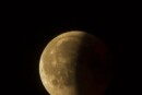eclissi lunare 30 novembre