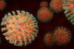 nuovo virus covid