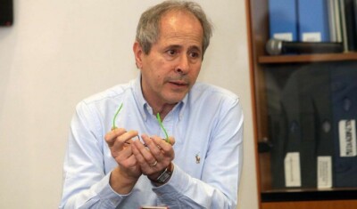 Andrea Crisanti Coronavirus