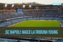 Tribuna Young