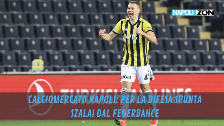 Attila Szalai con la maglia del fenerbahce