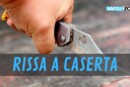 Rissa a Caserta