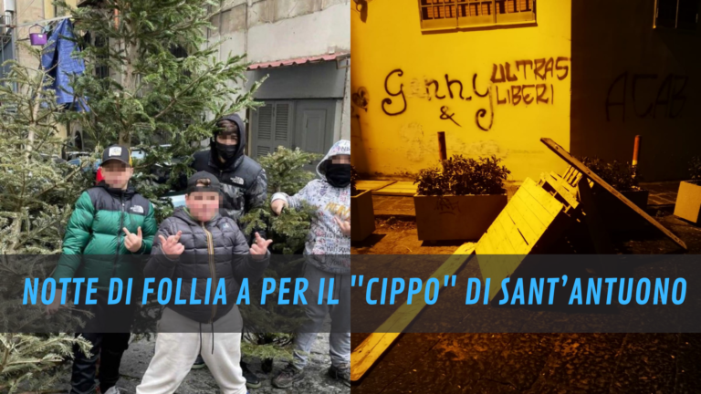 NAPOLI BABY GANG