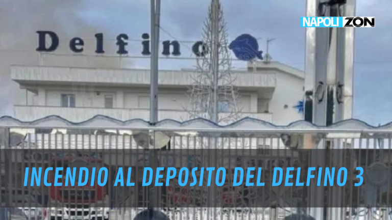 incendio delfino