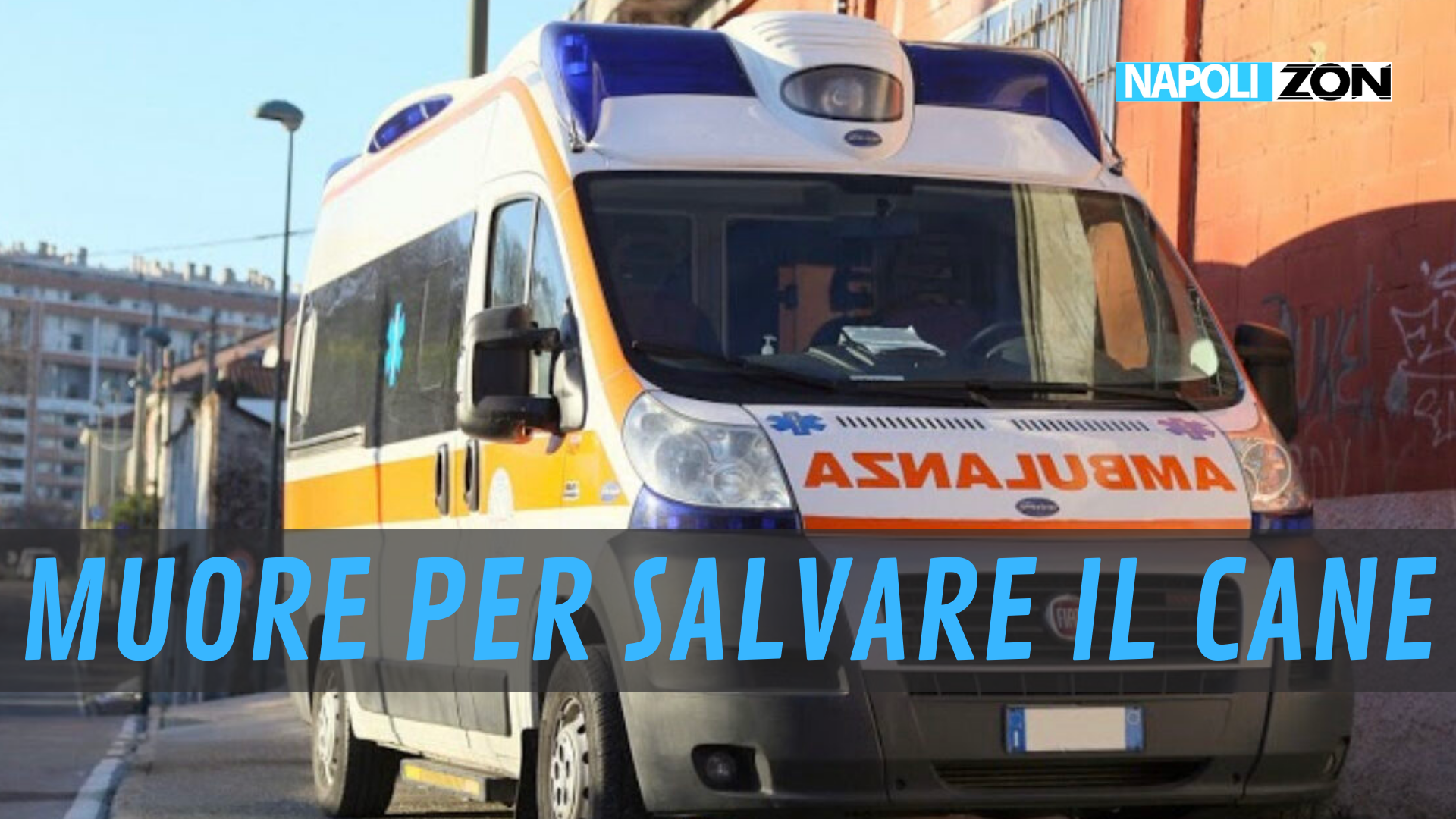 Cerca di salvare il suo cane, morto 70enne - Napoli ZON