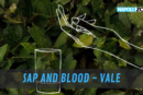 SAP AND BLOOD VALE