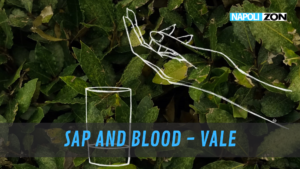 SAP AND BLOOD VALE