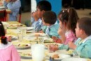 insetti nel cibo della mensa scolastica :la preside obietta