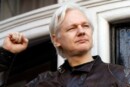 julian assange, Napoli conferimento cittadinanza Assange
