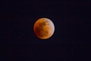 16 Maggio eclissi lunare: ecco quando e come vederla in Italia