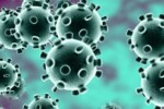 hantavirus