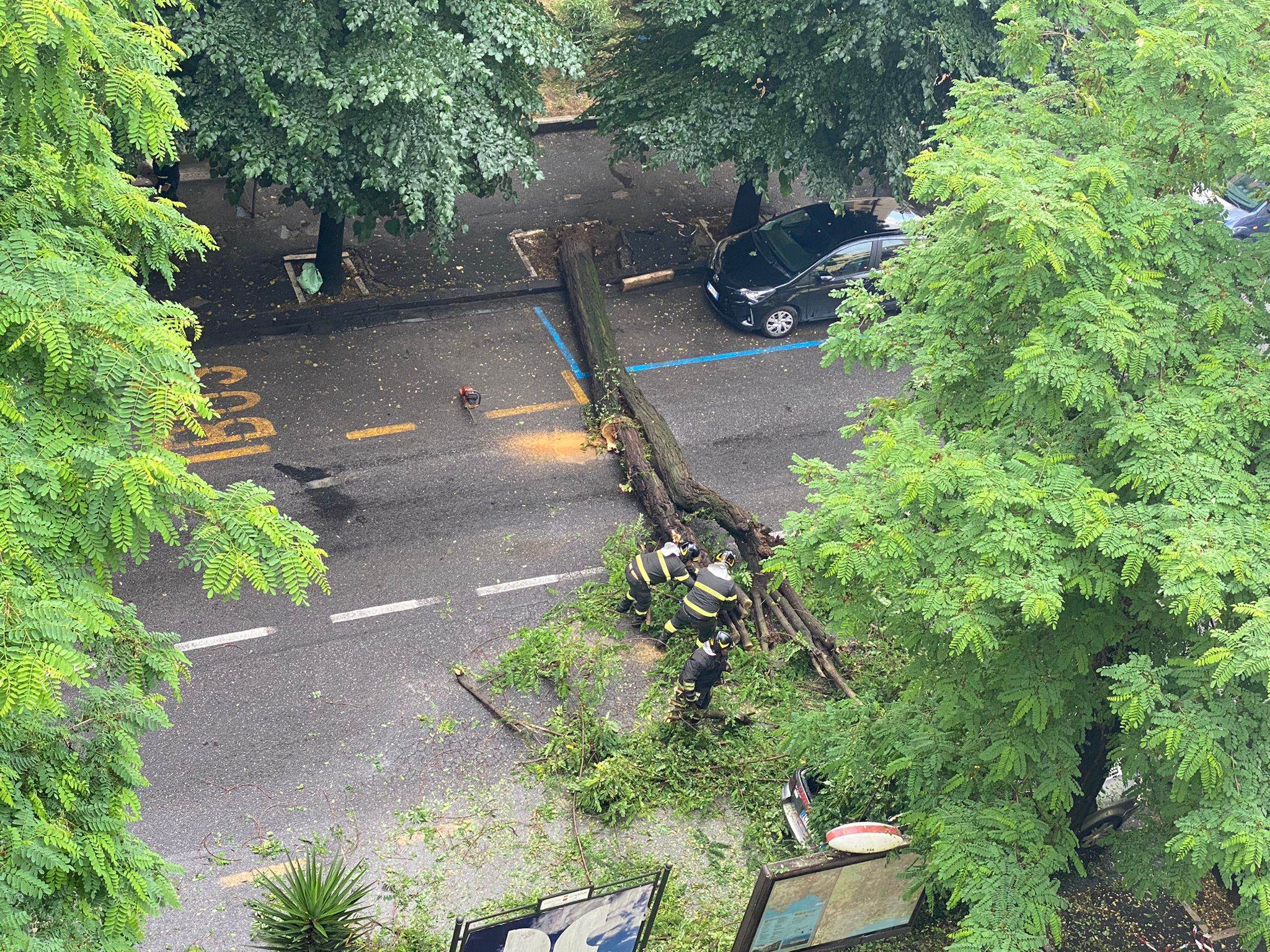 Albero Caduto Al Vomero Il Maltempo Continua A Causare Danni