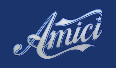 Amici 2025: daytime della puntata di ieri