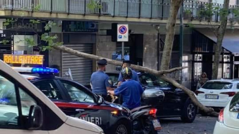 Vomero albero caduto su un automobile