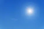 sole