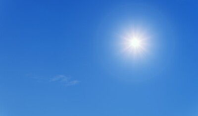 sole
