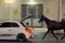 Cavallo trainato da un auto