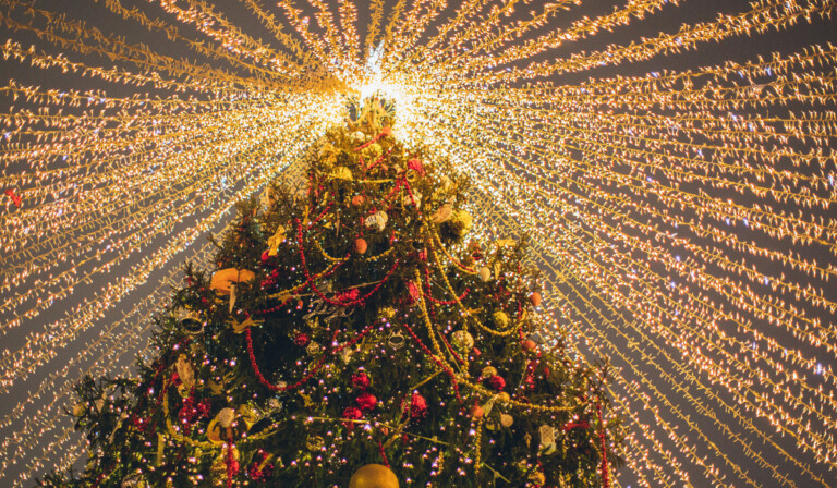 Albero di Natale a piazza Garibaldi