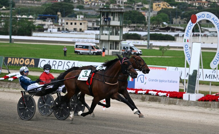 Gran Premio Lotteria di Agnano, trionfa Always Ek. Euforia Varenne Gran Premio Lotteria di Agnano