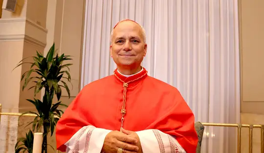 Papa Leone XIV e i presunti abusi sessuali insabbiati: cosa è successo? Robert Francis Prevost nuovo Papa