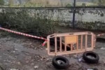 Schiacciato da un albero a Napoli