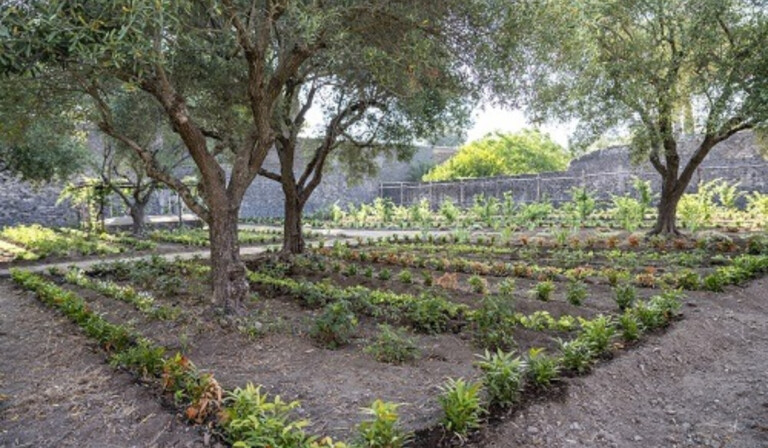Pompei, riaperta la Casa del Giardino di Ercole casa del giardino di ercole