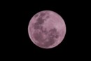 luna piena delle fragole