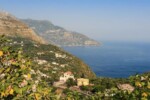Operazione sequestro cannabis Napoli