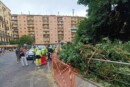 Allarme sicurezza nel Vomero: un ramo di un albero storico crolla in Piazza degli Artisti. Le polemiche e le possibili conseguenze dell'incidente.