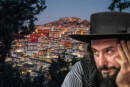 Sponz Fest: Vinicio Capossela