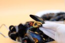 cozze
