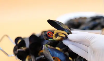 Home cozze