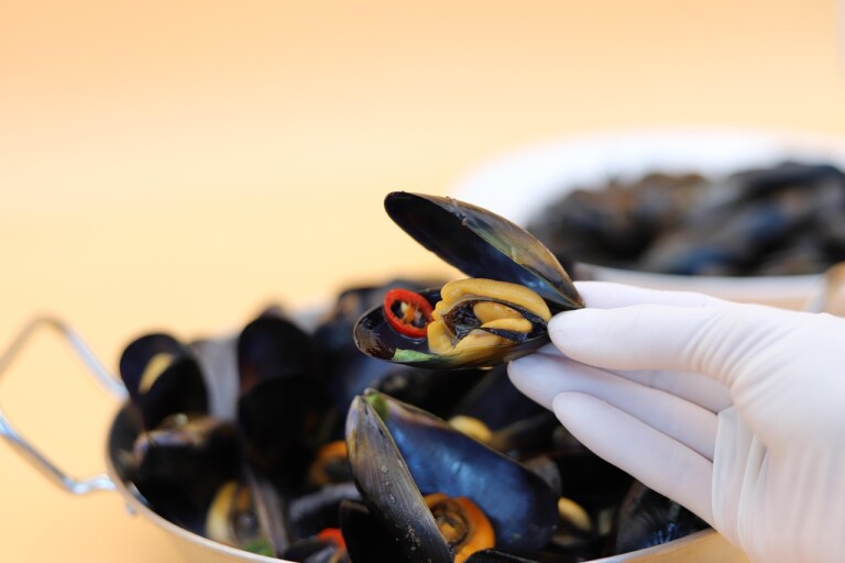 cozze
