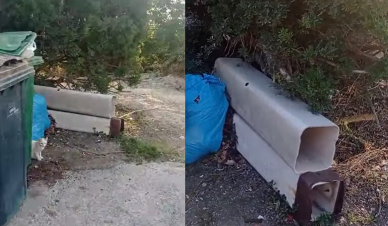 ischia sversamento amianto