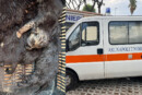 varcaturo cuccioli abbandonati